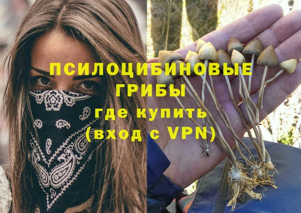 гашик Абаза